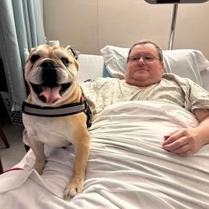 Meet your Posher, Troy